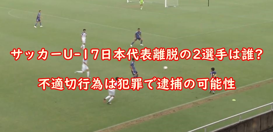 u17nihondaihyouridatu-dare