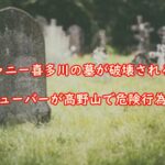 jyaneekitagawanohakagahakai