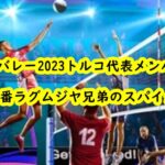 danshivolley-torucomember