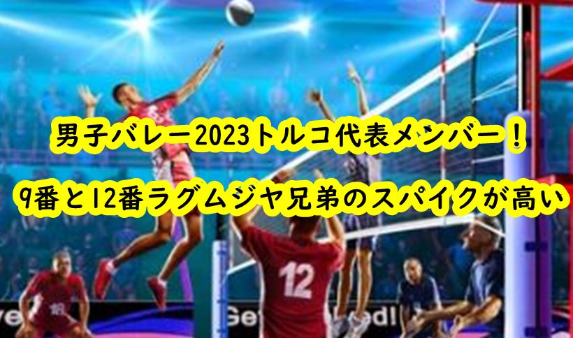 danshivolley-torucomember