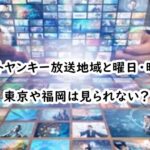 gostoyankee-housouchiiki